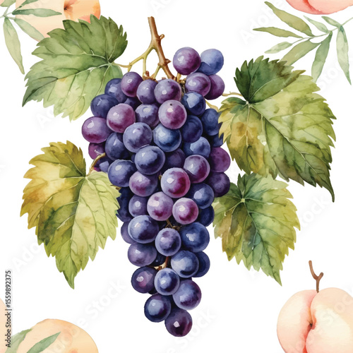 Seamless Watercolor Purple Grapes and Leaves Pattern.