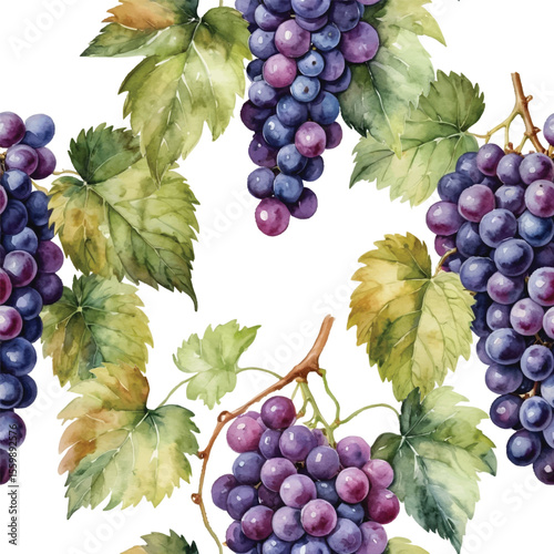  Seamless Watercolor Purple Grapes and Vine Leaves Pattern.