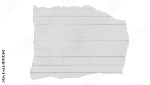 Torn piece of white lined paper with transparent background, perfect for notes or abstract designs.