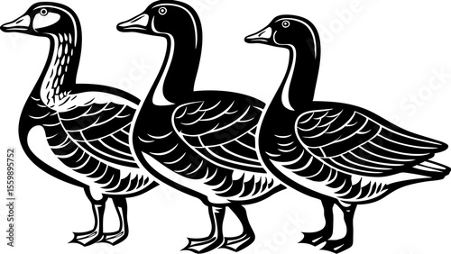 Three stylized geese standing in a row with black and white feather details and long necks posed