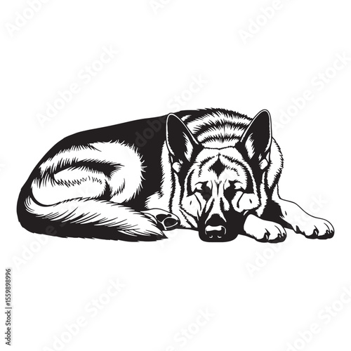 A loyal German Shepherd digital black vector, ideal for various projects - German Shepherd silhouette - German Shepherd Vector - Silhouette of German Shepherd - dog silhouette

