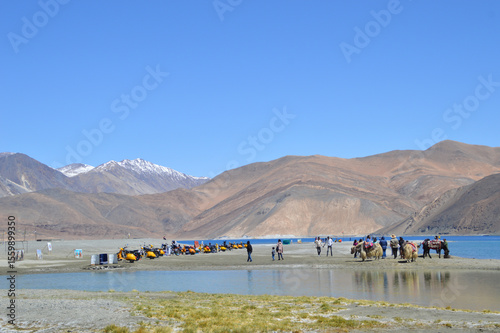 Fotografi Pangong Tso in Leh, Ladakh is the highest brackish water lakes in the world