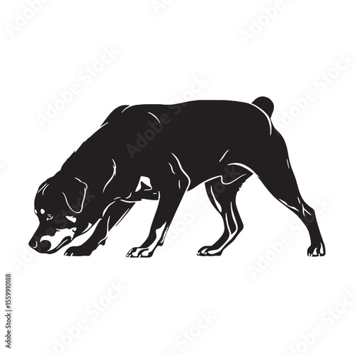 Presenting a standard Rottweiler digital black vector, easy to use and adapt - Rottweiler silhouette - Rottweiler Vector - Silhouette of Rottweiler - dog vector

