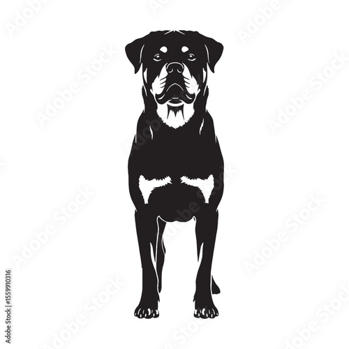 Featuring an authentic Rottweiler canine digital black visual, accurately representing the breed - Rottweiler silhouette - Rottweiler Vector - Silhouette of Rottweiler - dog vector

