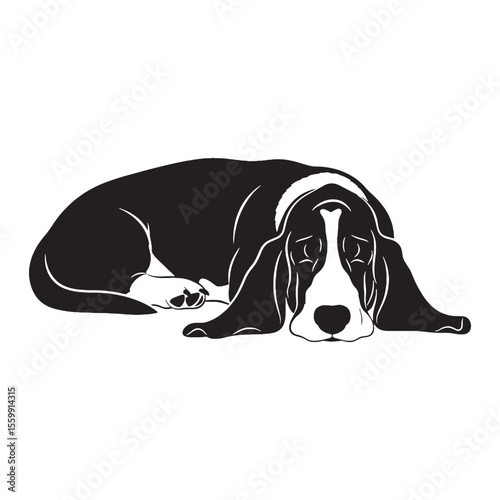 Presenting a well-defined Basset Hound digital black image, with sharp, recognizable lines - Basset Hound silhouette - Basset Hound Vector - Silhouette of Basset Hound - dog vector

