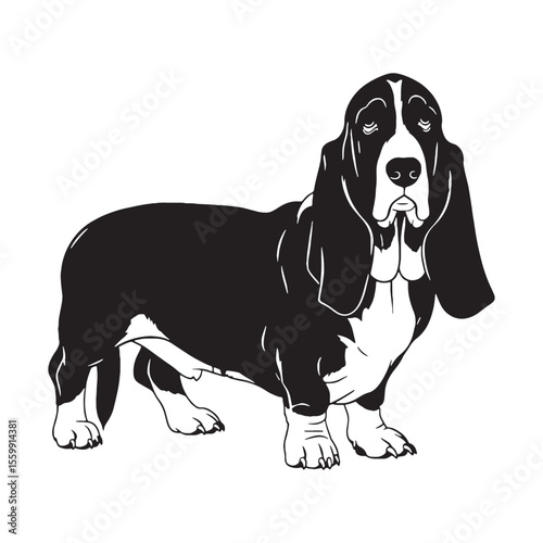 Featuring an artistic Basset Hound digital black profile, with a minimalist yet striking aesthetic - Basset Hound silhouette - Basset Hound Vector - Silhouette of Basset Hound - dog silhouette

