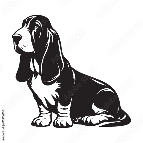 Presenting a standard Basset Hound digital black vector, easy to use and adapt - Basset Hound silhouette - Basset Hound Vector - Silhouette of Basset Hound - dog vector

