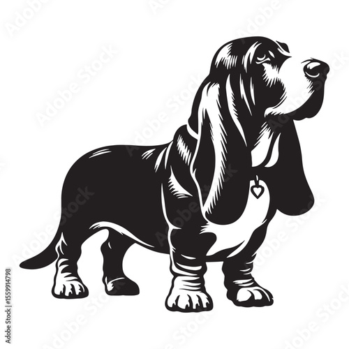 Featuring an authentic Basset Hound canine digital black visual, accurately representing the breed - Basset Hound silhouette - Basset Hound Vector - Silhouette of Basset Hound - dog vector

