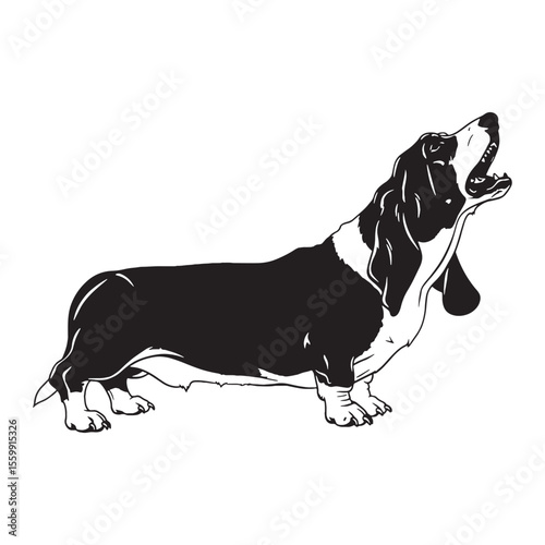 A charming Basset Hound digital black vector, perfect for artistic projects - Basset Hound silhouette - Basset Hound Vector - Silhouette of Basset Hound - dog silhouette

