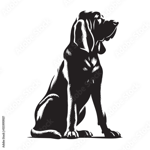 Presenting a noble Bloodhound digital profile, with clean, sharp edges - Bloodhound silhouette - Bloodhound Vector - Silhouette of Bloodhound - dog vector

