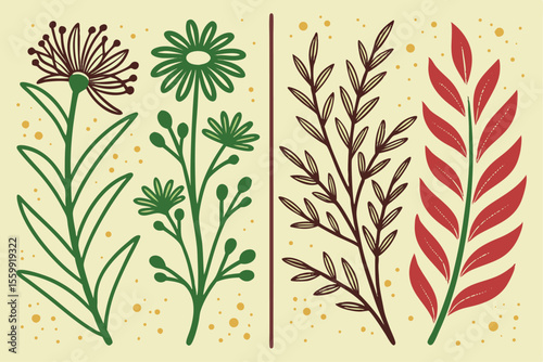 Botanical Illustrations Herbs, Vegetables, and Spices