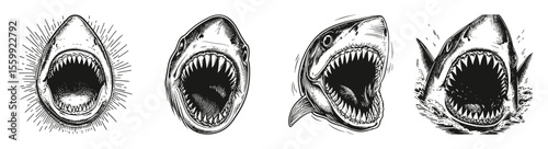 Illustrations of Fearsome Shark Heads with Open Mouths, vector illustration, engraving design, logo design set, black and white line, template design element