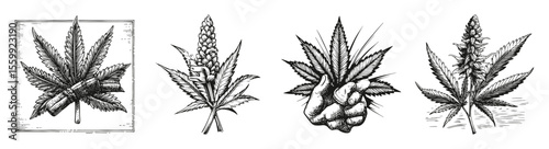 Vintage Illustrations of Hemp and Cannabis Leaves for Design Use, vector illustration, engraving design, logo design set, black and white line, template design element