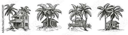 Vintage Tropical House and Palm Tree Illustrations in Black and White, vector illustration, engraving design, logo design set, black and white line, template design element