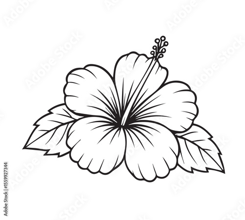 Hibiscus Flower Line Art: Elegant line drawing of a hibiscus flower with leaves, perfect for adding a touch of tropical elegance to your designs.