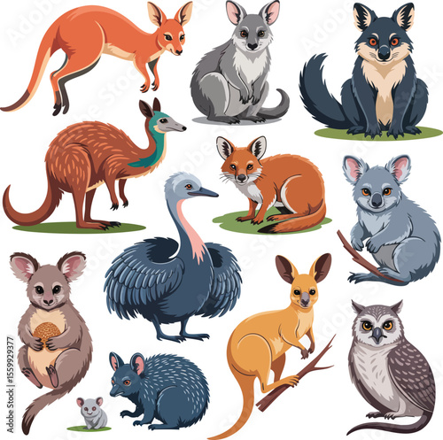 Illustration of various australian animals including kangaroos koalas and other wildlife species