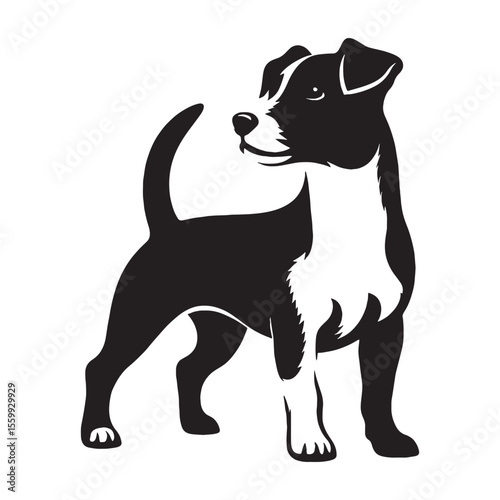 A lively Jack Russell Terrier breed design, perfect for various artistic projects - Jack Russell Terrier silhouette - Jack Russell Terrier Vector - Silhouette of Jack Russell Terrier - dog silhouette
