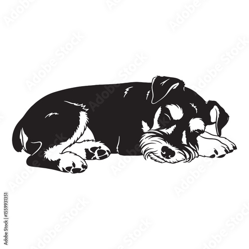 Presenting a defined Miniature Schnauzer dog drawing, with sharp, recognizable lines - Miniature Schnauzer silhouette - Miniature Schnauzer Vector - Silhouette of Miniature Schnauzer - dog vector

