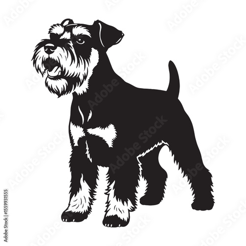 Presenting a standard Miniature Schnauzer illustration, easy to use and adapt - Miniature Schnauzer silhouette - Miniature Schnauzer Vector - Silhouette of Miniature Schnauzer - dog vector

