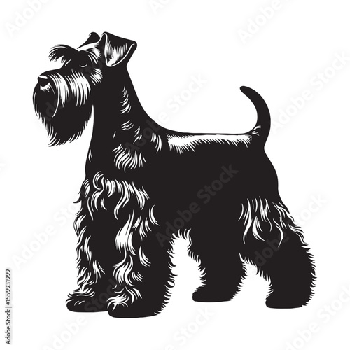 Presenting a classic Miniature Schnauzer breed profile, with clean, sharp edges - Miniature Schnauzer silhouette - Miniature Schnauzer Vector - Silhouette of Miniature Schnauzer - dog vector


