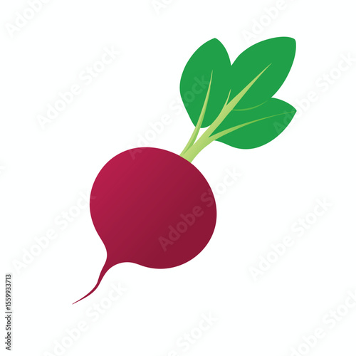 red radish isolated on white