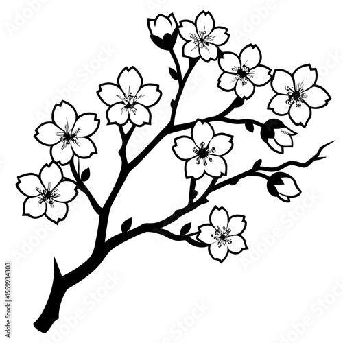 Minimal Blooming Sakura Vector Art