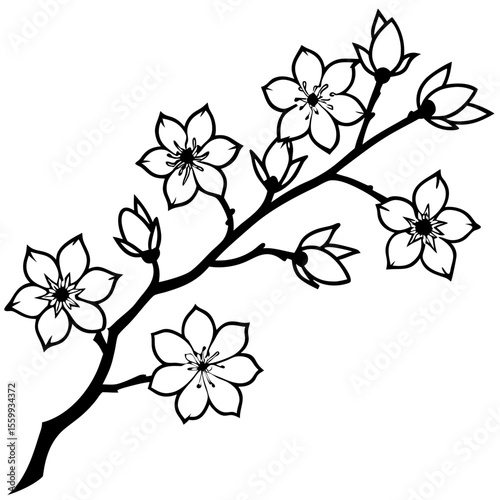 Minimal Blooming Sakura Vector Art