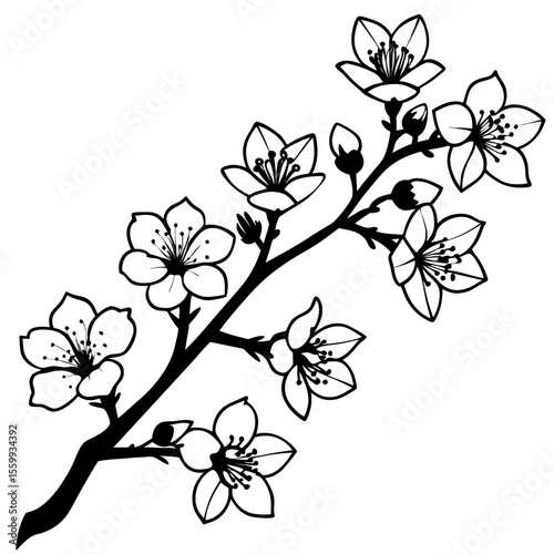 Minimal Blooming Sakura Vector Art