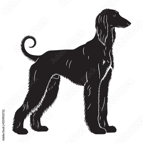 An exceptionally refined Afghan Hound line art, perfect for intricate details - Afghan Hound silhouette - Afghan Hound Vector - Silhouette of Afghan Hound - dog silhouette

