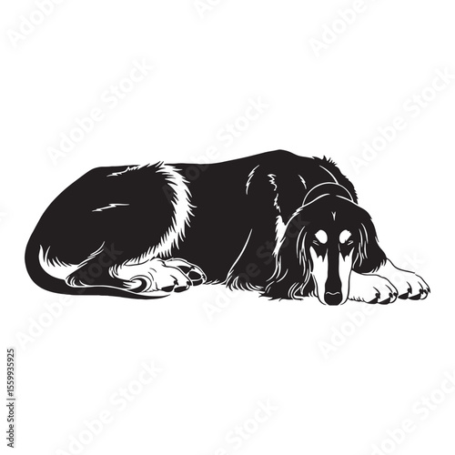 A versatile Afghan Hound design asset, offering a clean, modern vector - Afghan Hound silhouette - Afghan Hound Vector - Silhouette of Afghan Hound - dog silhouette

