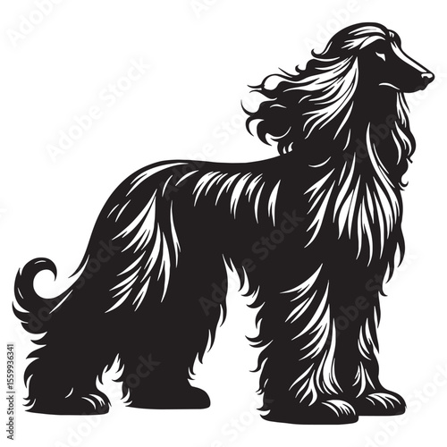 Featuring an elegant Afghan Hound canine illustration, showcasing its distinct form - Afghan Hound silhouette - Afghan Hound Vector - Silhouette of Afghan Hound - dog vector

