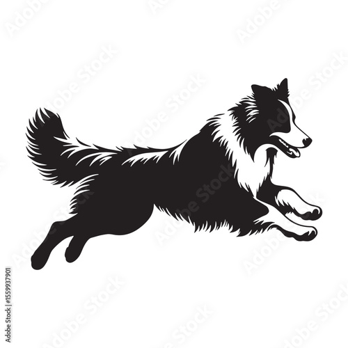 Presenting a defined Australian Shepherd dog drawing, with sharp, recognizable lines - Australian Shepherd silhouette - Australian Shepherd Vector - Silhouette of Australian Shepherd - dog vector

