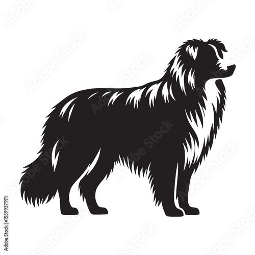 An iconic Australian Shepherd representation, clearly identifying the beloved breed - Australian Shepherd silhouette - Australian Shepherd Vector - Silhouette of Australian Shepherd - dog vector

