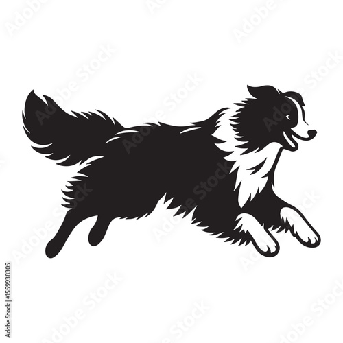 Displaying a distinctive Australian Shepherd dog shape, embodying its unique presence - Australian Shepherd silhouette - Australian Shepherd Vector - Silhouette of Australian Shepherd - dog vector

