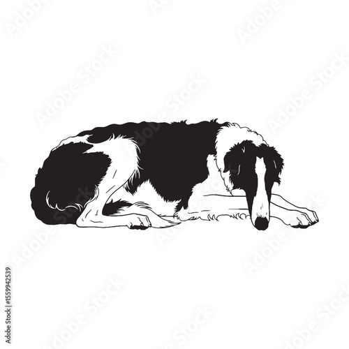 An exceptionally sleek Borzoi line art, perfect for intricate details - Borzoi silhouette - Borzoi Vector - Silhouette of Borzoi - dog silhouette

