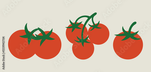 Three Colorful Tomatoes with Green Leaves