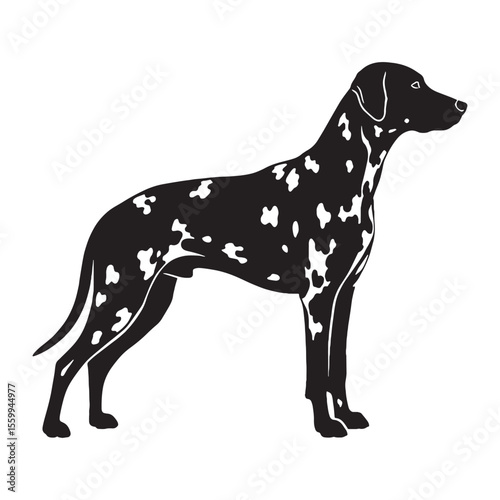 Featuring an artistic Dalmatian profile, with a minimalist yet striking aesthetic - Dalmatian silhouette - Dalmatian Vector - Silhouette of Dalmatian - dog silhouette

