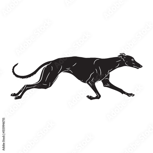 An essential Greyhound canine graphic, a powerful tool for diverse endeavors - Greyhound silhouette - Greyhound Vector - Silhouette of Greyhound - dog vector

