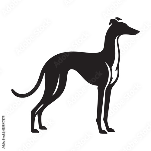 A versatile Greyhound design asset, offering a clean, modern vector - Greyhound silhouette - Greyhound Vector - Silhouette of Greyhound - dog silhouette

