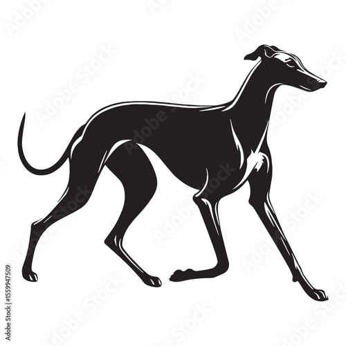 Presenting a classic Greyhound breed profile, with clean, sharp edges - Greyhound silhouette - Greyhound Vector - Silhouette of Greyhound - dog vector

