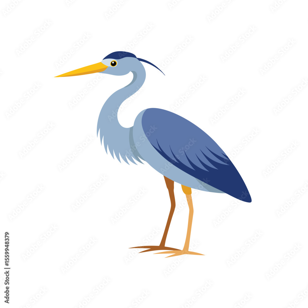 Fototapeta premium Elegant heron bird illustration isolated on white background