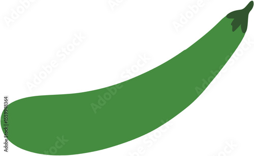 vector illustration of a long green eggplant