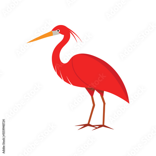 Red heron bird illustration isolated on white backgrounds