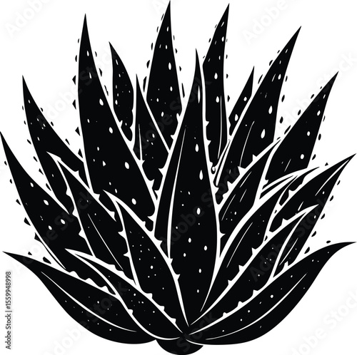 Stylized black and white aloe vera plant illustration