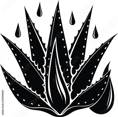 Aloe vera plant with droplets stylized black and white illustration