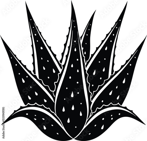 Stylized black and white aloe vera plant illustration
