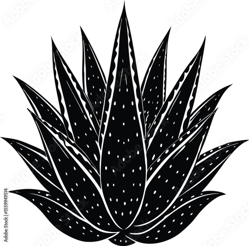 Black and white aloe vera plant illustration