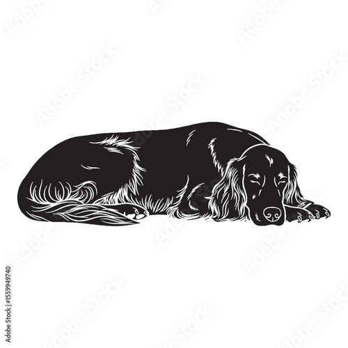 An exceptionally refined Irish Setter line art, perfect for intricate details - Irish Setter silhouette - Irish Setter Vector - Silhouette of Irish Setter - dog silhouette

