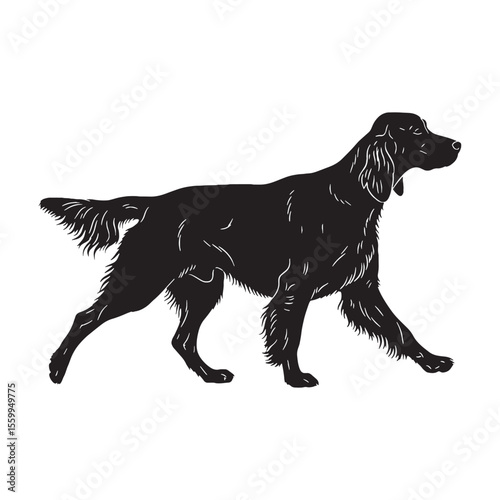 A proud Irish Setter figure image, an elegant graphic resource for projects - Irish Setter silhouette - Irish Setter Vector - Silhouette of Irish Setter - dog silhouette

