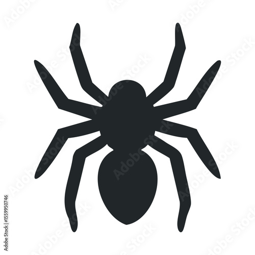 Silhouette of a spider on white background.
